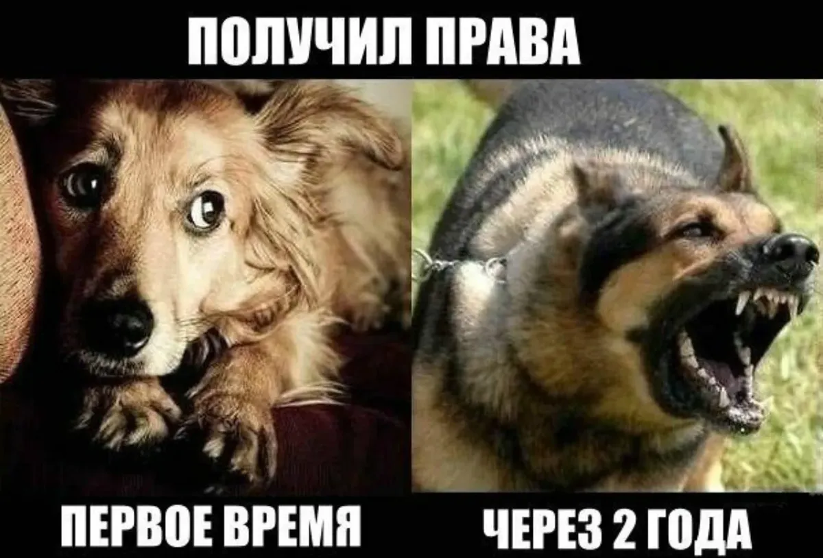 Открытка со сдачей на права водительские девушке
