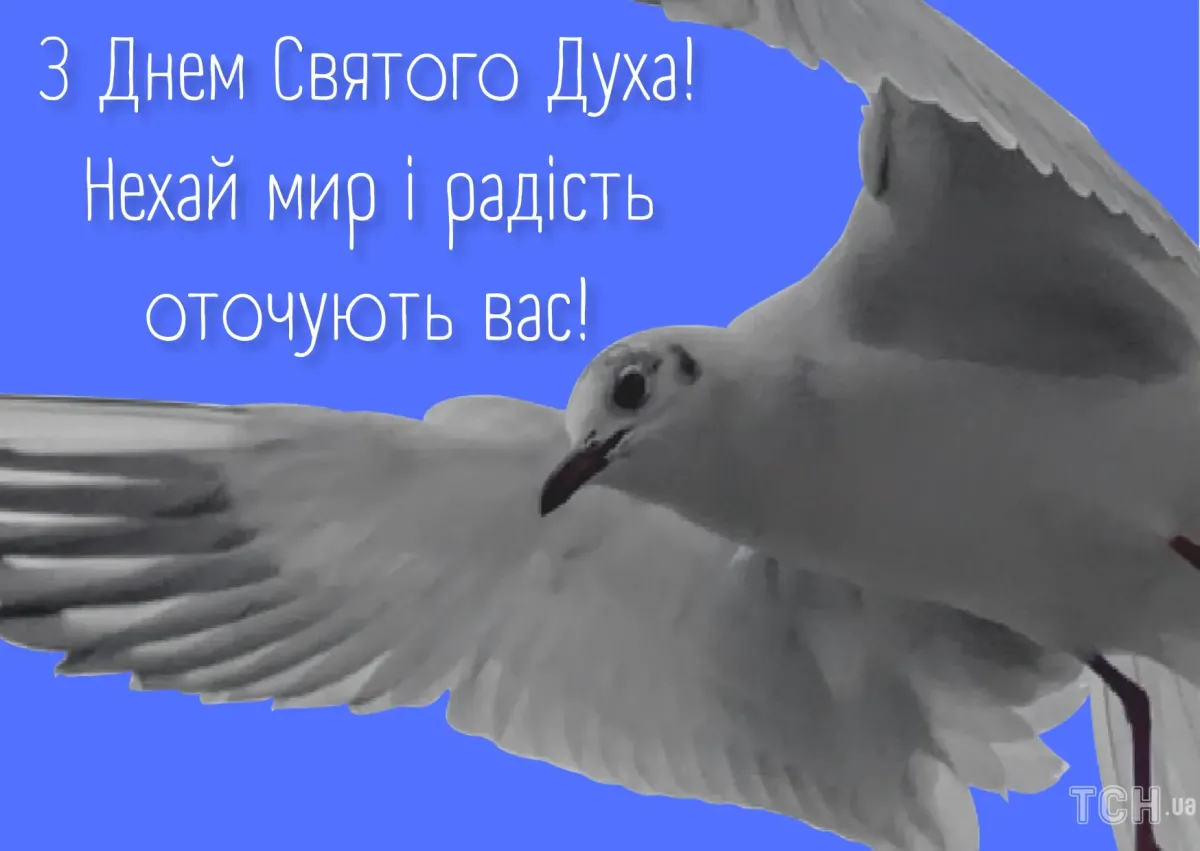 Духов день картинки