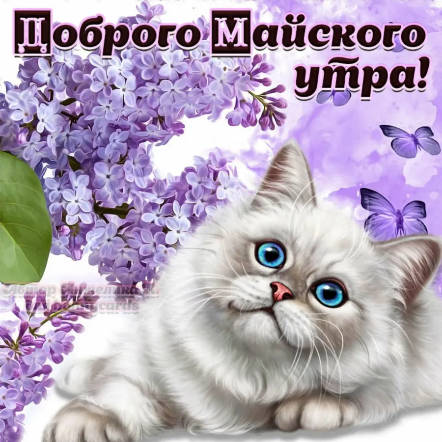 Открытки с добрым утром котята
