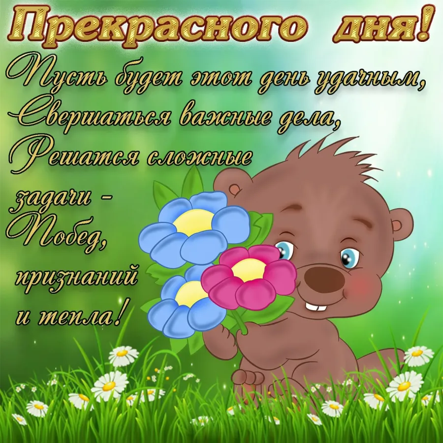 Открытки с добрым днем с пожеланиями мужчине