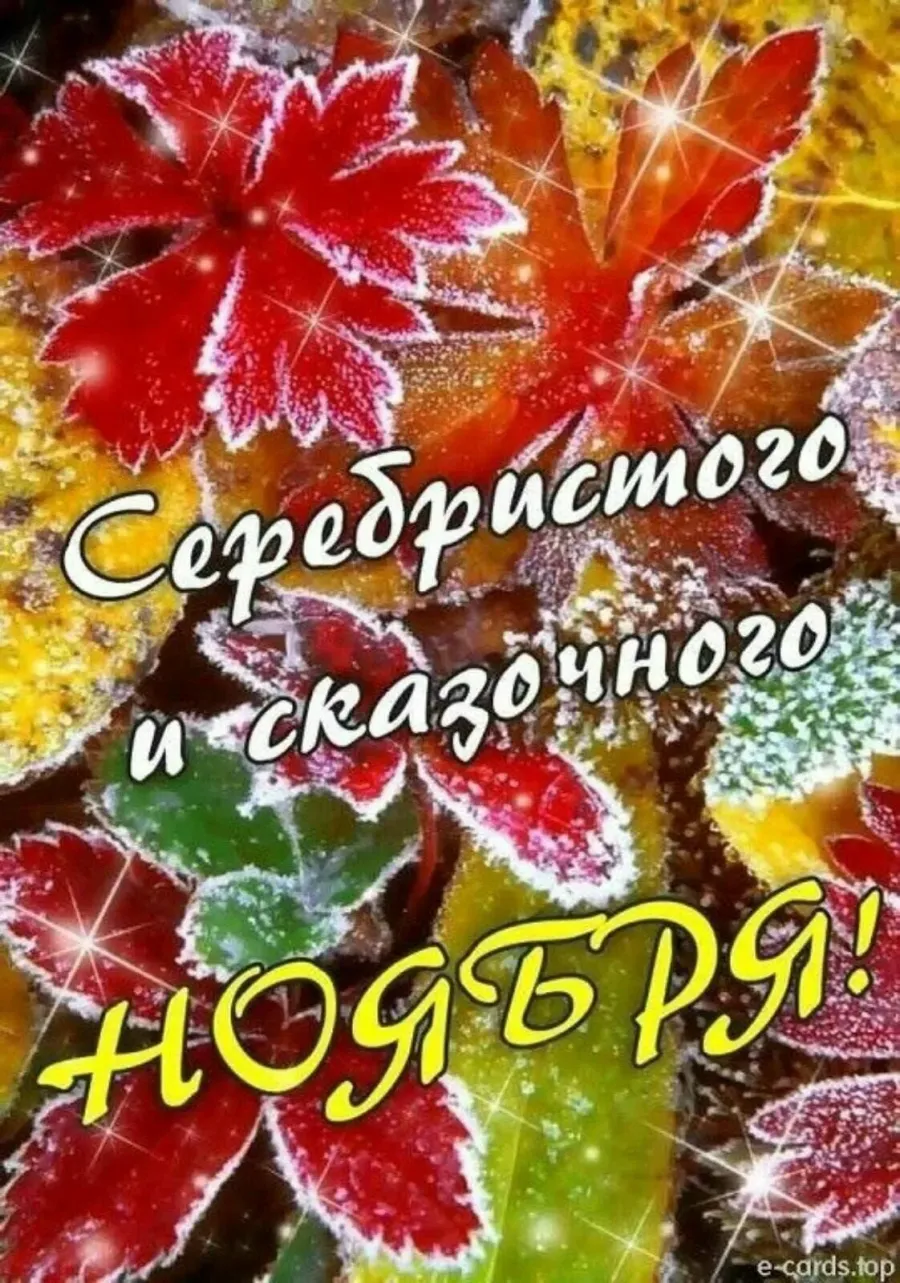 С добрым ноябрьским утром картинки