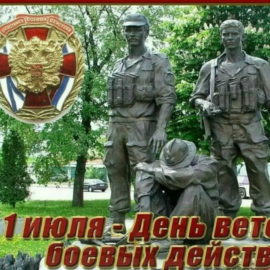 Картинки ветеран боевых действий