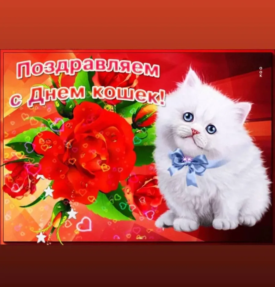 С днем кошек