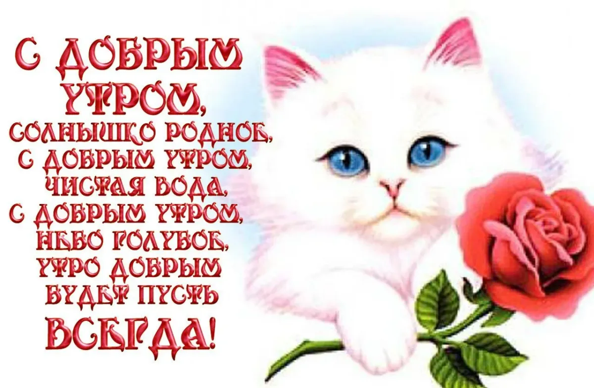 С добрым утром любимая