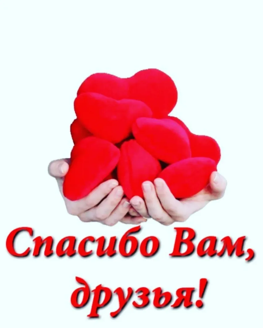 Спасибо и вам картинки