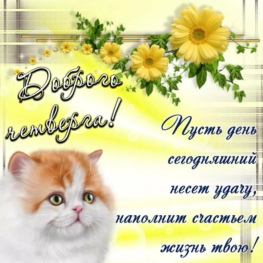 Хорошего настроения в четверг