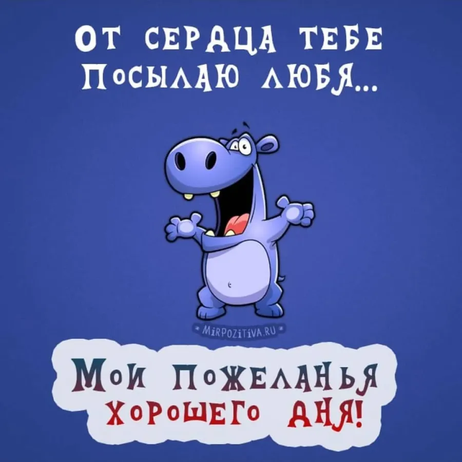 Картинки с хорошим днем прикольные и смешные