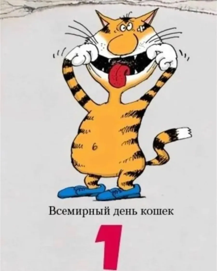 С днем кошек