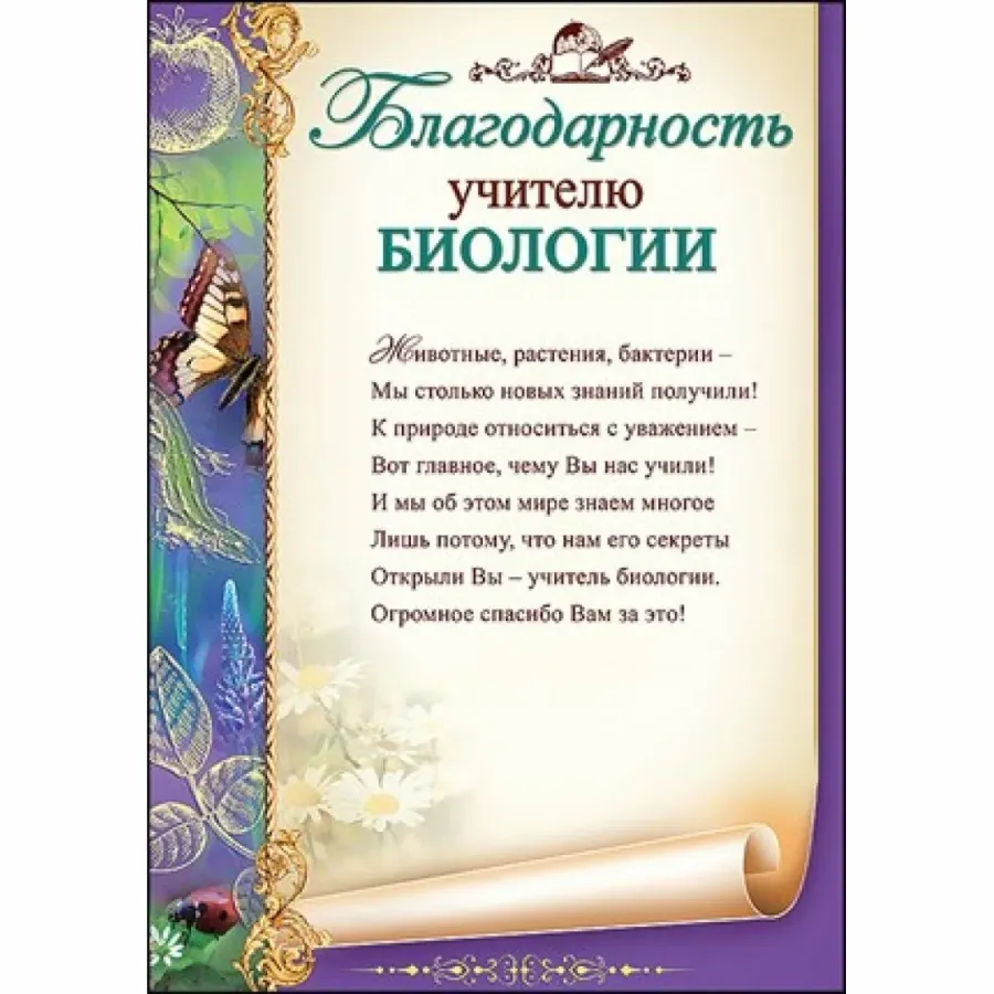 Благодарность первому учителю картинки