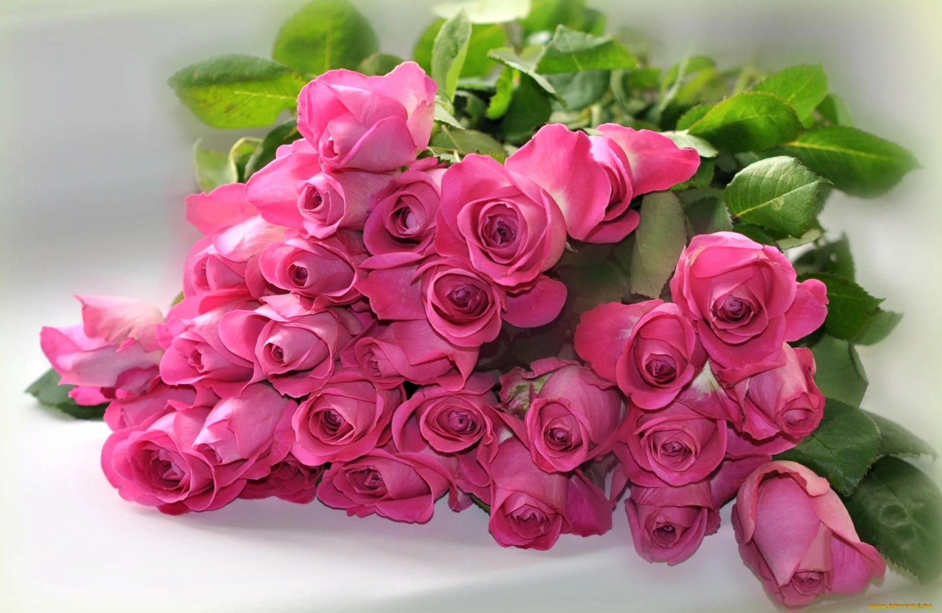 Открытка с днем розовой. Роскошные цветы. Шикарный букет цветов. Шикарный букет роз. Шикарный букет с днем рождения.