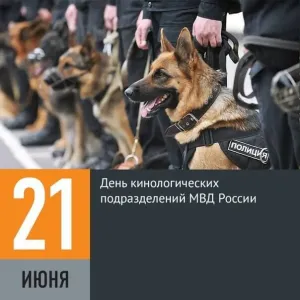 Скачивание изображения #92566