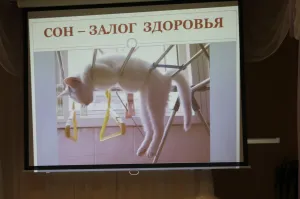 Скачивание изображения #273641