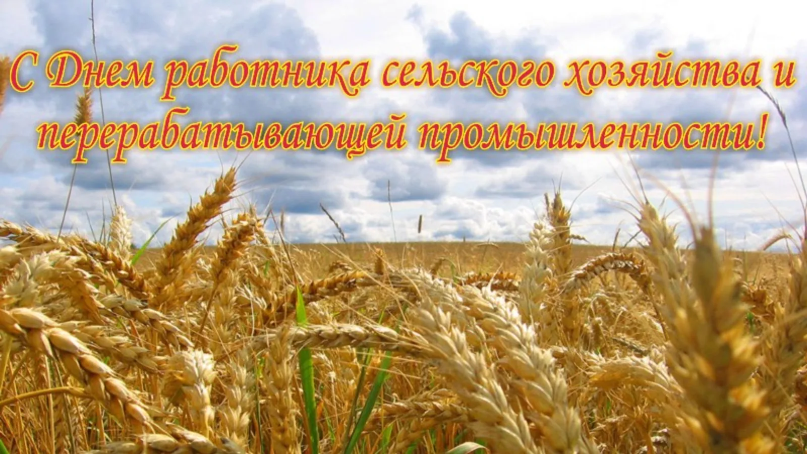 Фото Поздравления с днем работников сельского хозяйства Украины #49