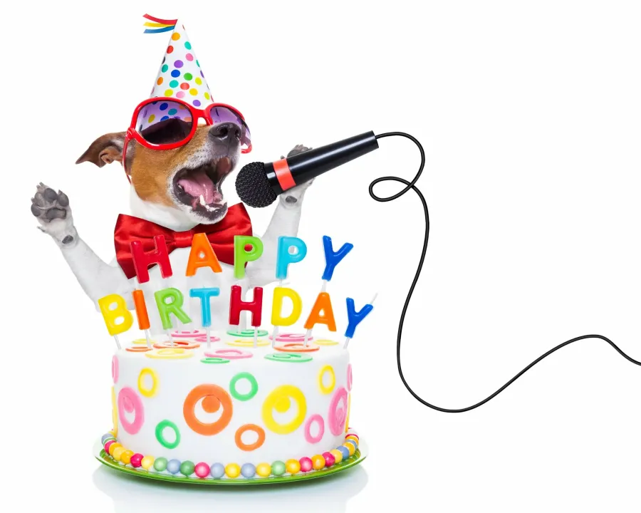 С днем рождения поет мужчина. День рождения собаки. Открытка с днем рождения с микрофоном. День рождения микрофона. Открытки с днём рождения с собаками прикольные.