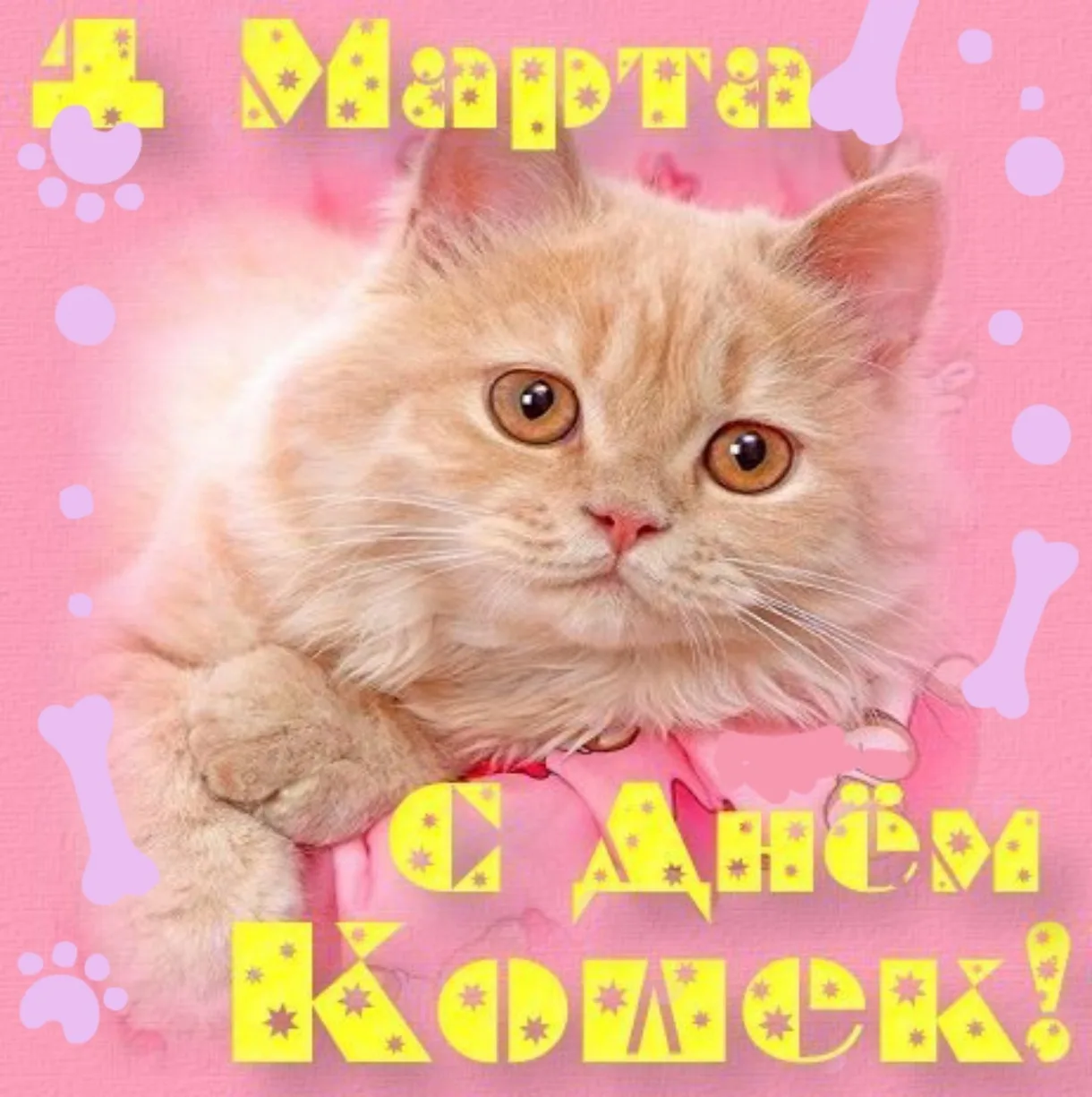 Бесплатные поздравления с днем кошек. День кошек открытки. Поздравление с днем кошек.