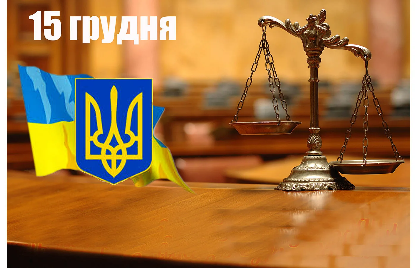Фото День суда Украины 2024 #31
