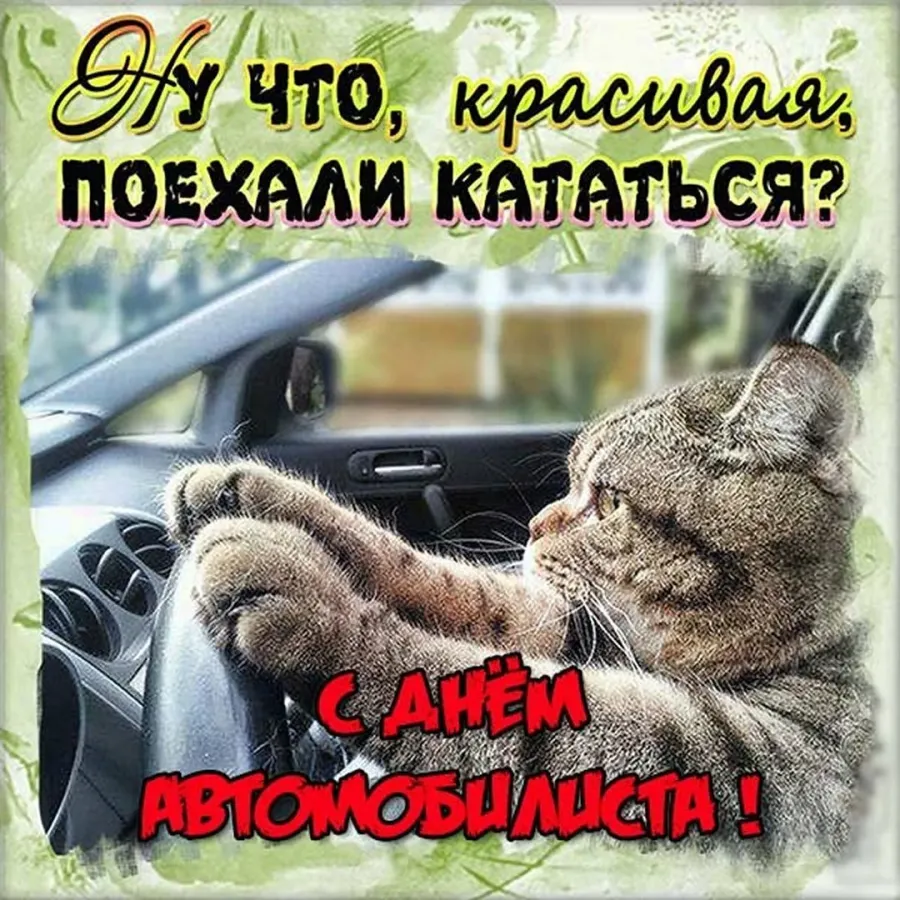 День автомобилиста картинки