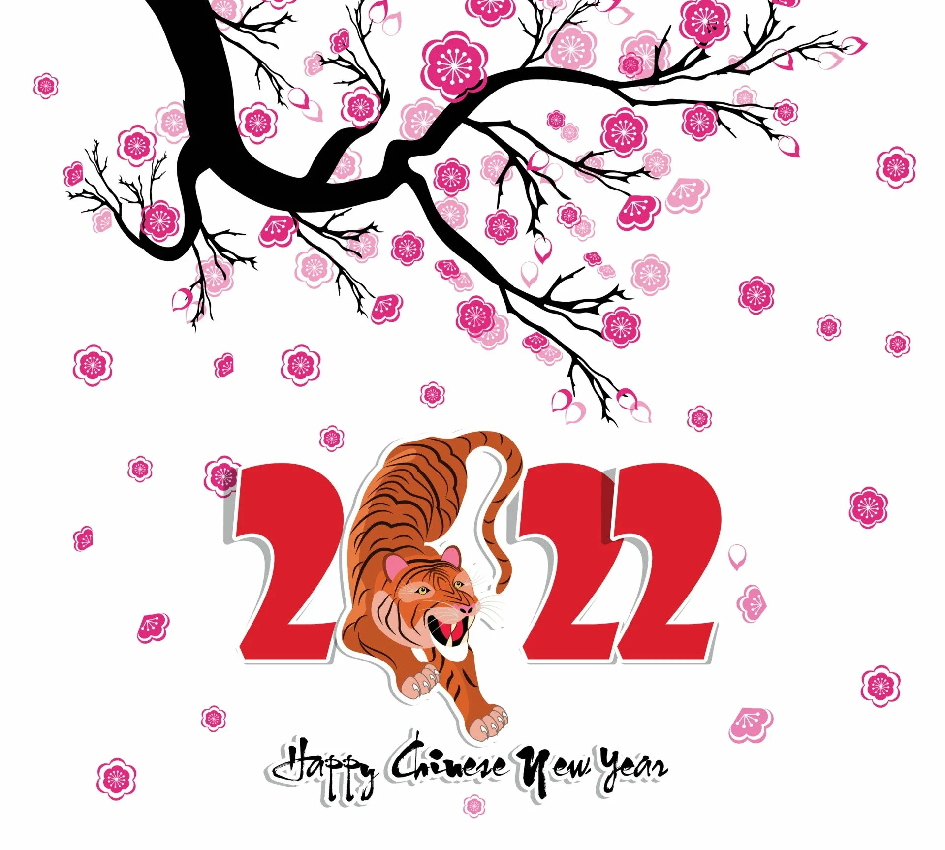 Фото Китайский Новый год 2025 #93