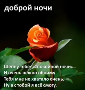 Скачивание изображения #28962