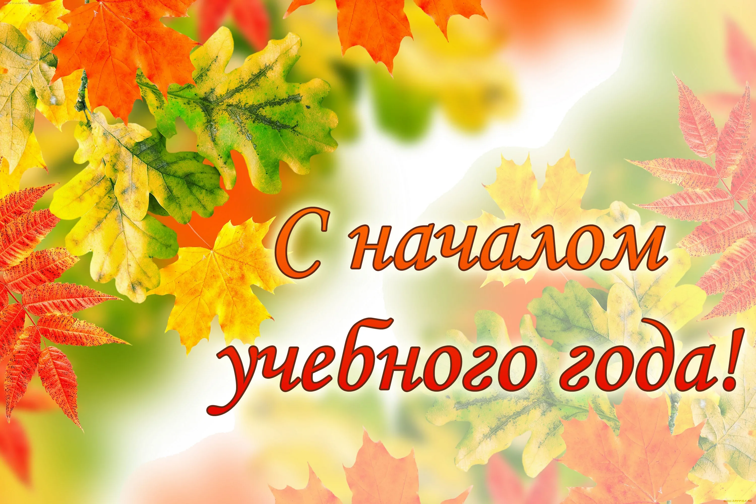 1 октября осени. Фон для презентации осень. Осенний фон для презентации. С началом учебного года. С новым учебным годом.