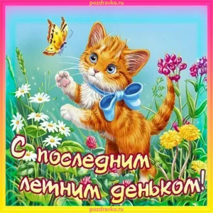Скачивание изображения #282307