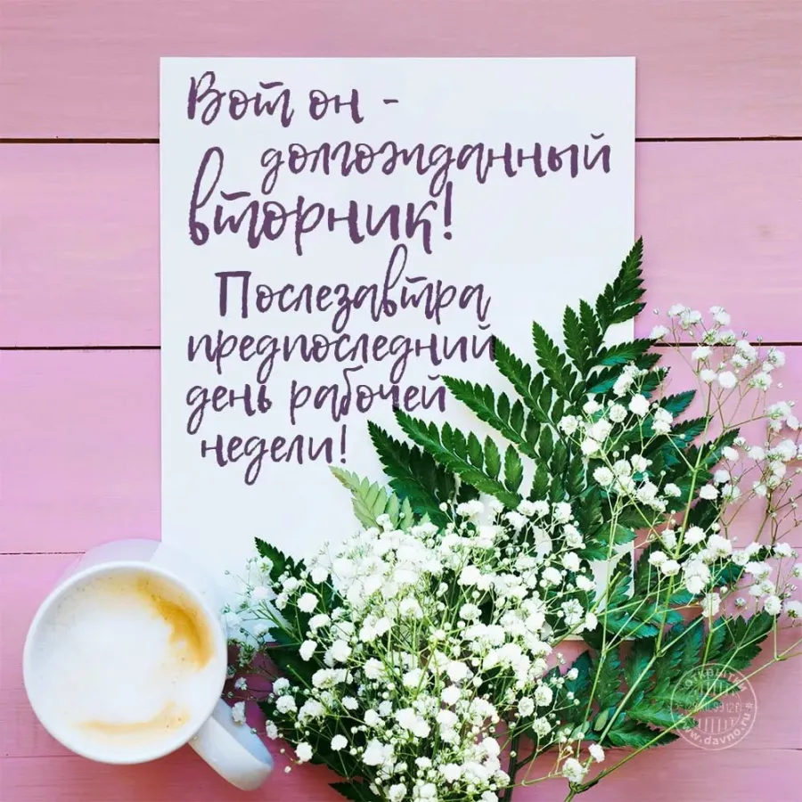 Пожелания необыкновенного дня. Доброе утро вторника. С добрым утром вторника. Пожелание доброго утра вторника. С добрым утром вторн ка