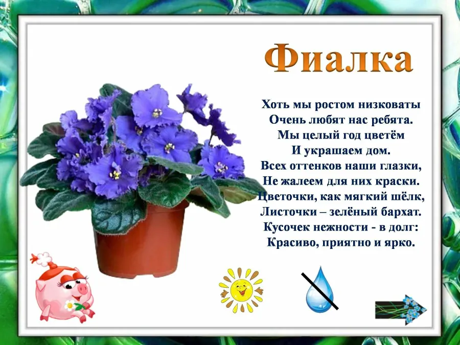 Про цветы уход. Стихи о комнатных цветах. Комнатные растения для дошкольников. Стихи про комнатные растения для детей. Стихи про цветы для детей.