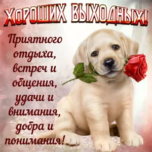 Скачивание изображения #116892