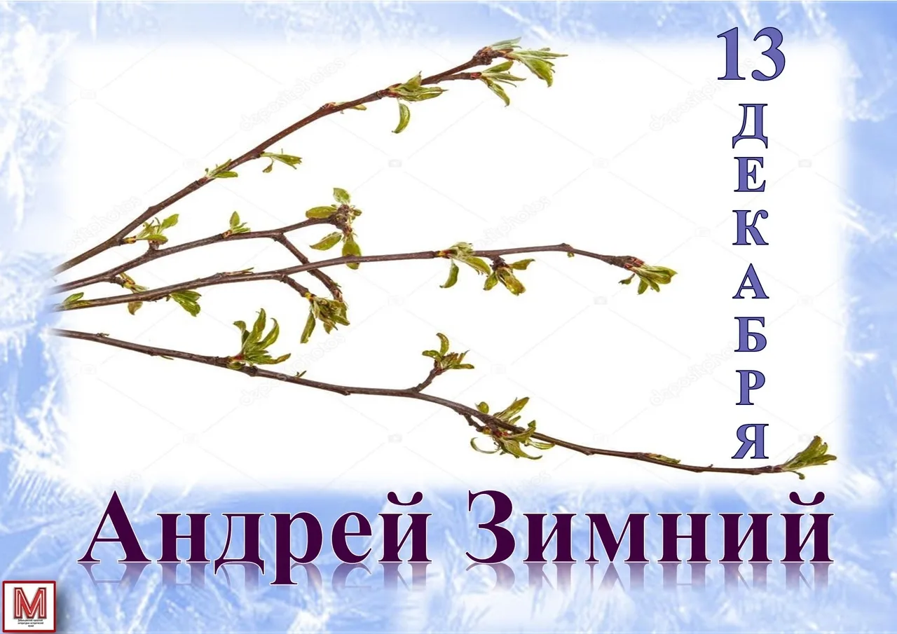 Фото День Андрея Первозванного 13 декабря 2024 #87