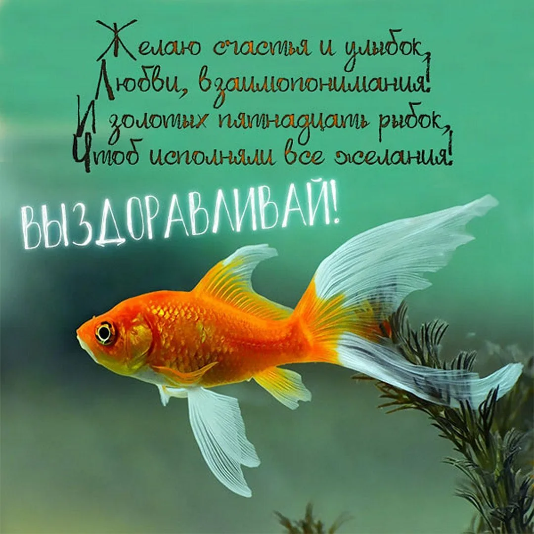 Фото Стихи к подарку золотая рыбка #36