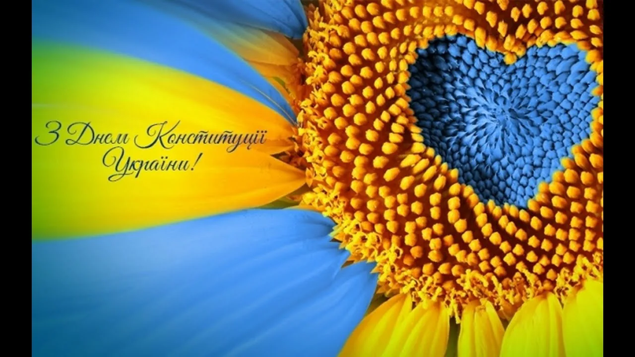 Фото Привітання з Днем Конституції України #16