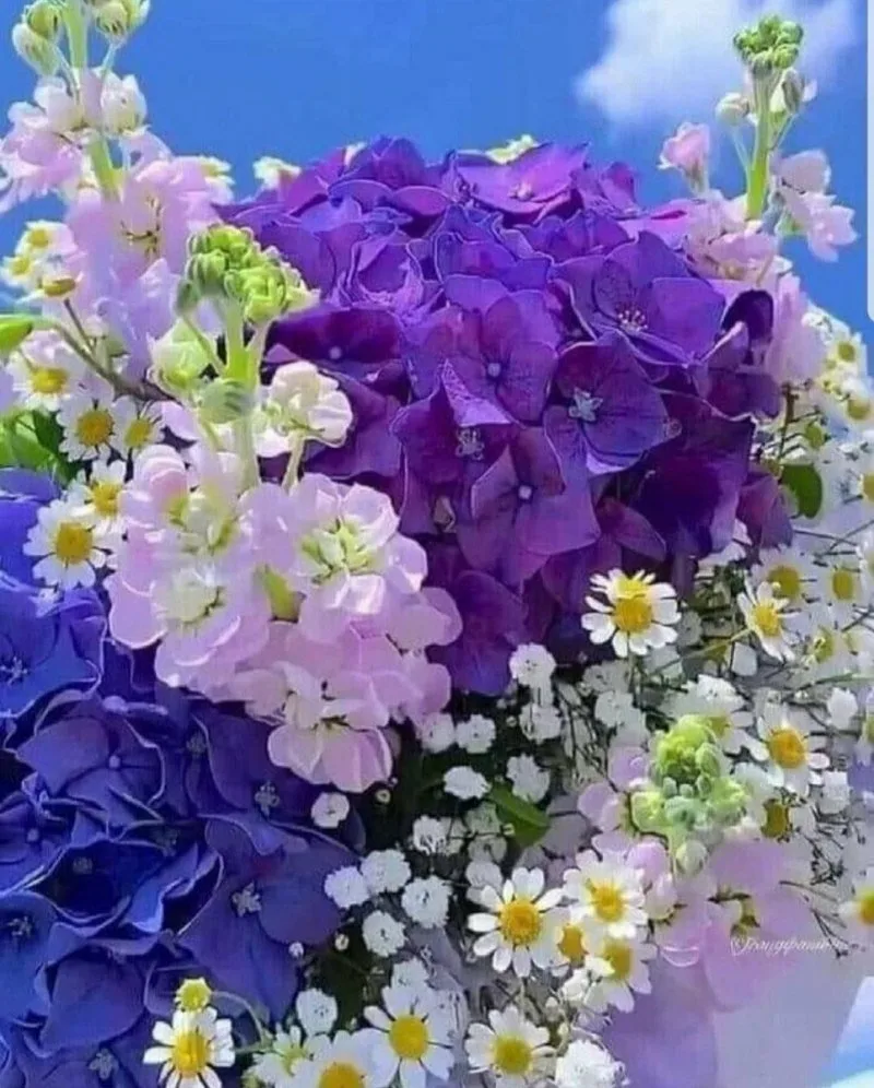 Доброе утро крестная. Цветы поздравления. Открытки с добрым утром цветы. Красивые цветы с пожеланиями. С днем рождения весенние цветы.
