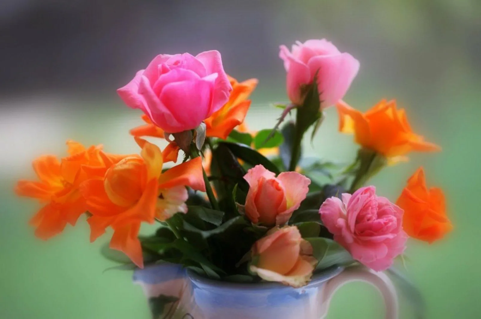 Радости и здравия. Красивые цветы. Очень красивые цветы. Хорошего настроения и удачного дня цветы. Чудесные цветы.