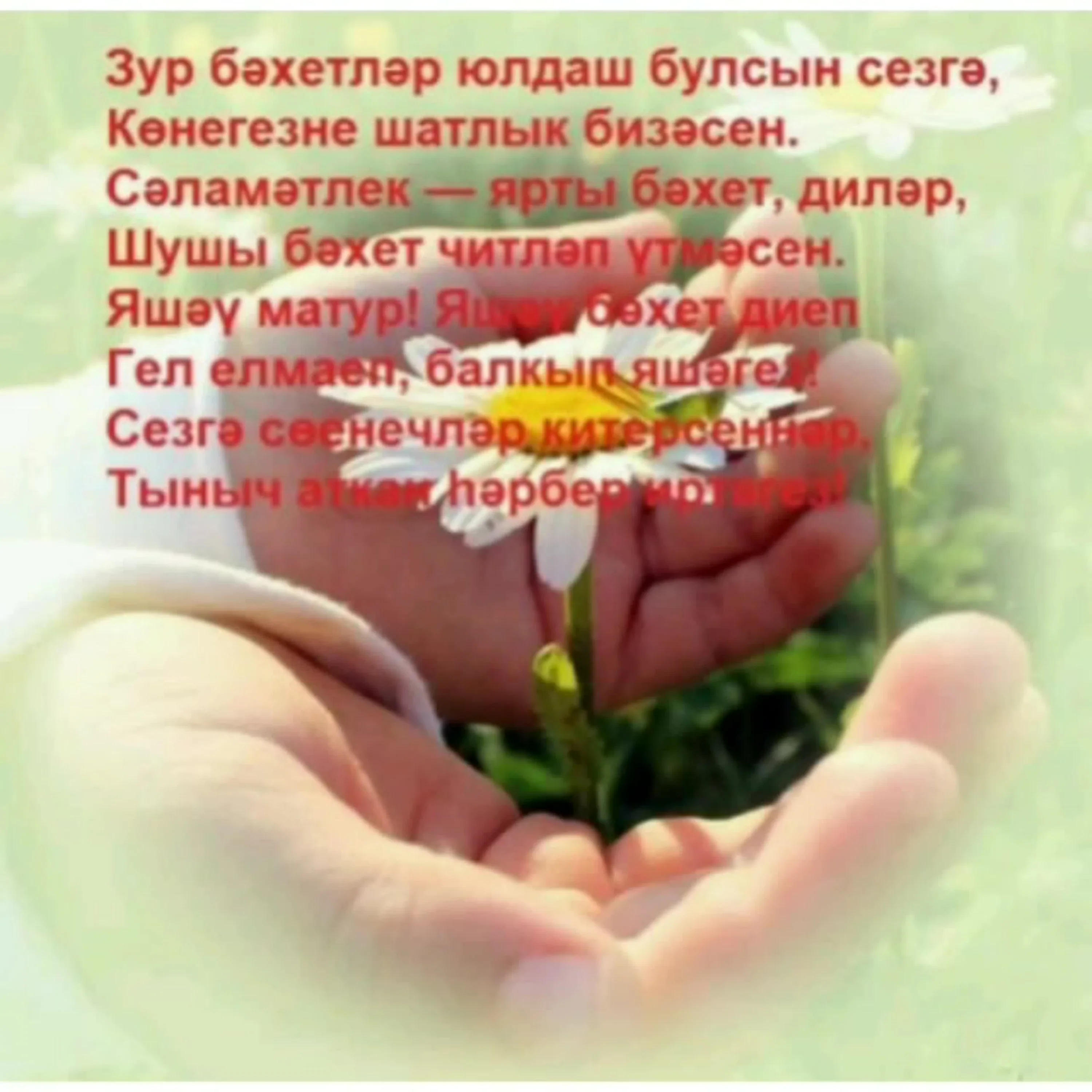 Фото Поздравления с Днем матери на татарском языке в стихах и прозе #51
