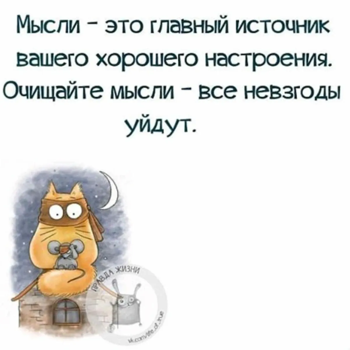 Мотивирующие цитаты для поднятия духа. Статусы про настроение. Смешные высказывания. Афоризмы для поднятия духа. Прикольные стихи для поднятия настроения.