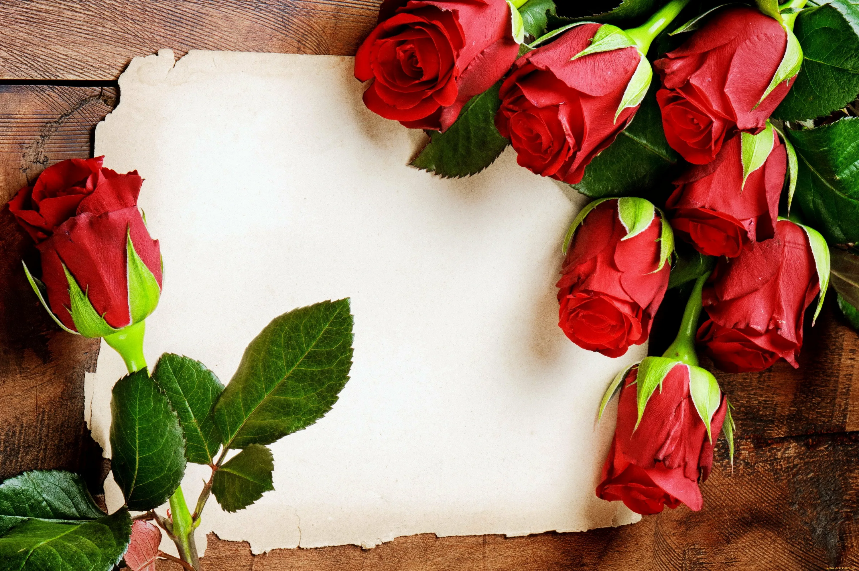 Фото Стихи к подарку розы #74