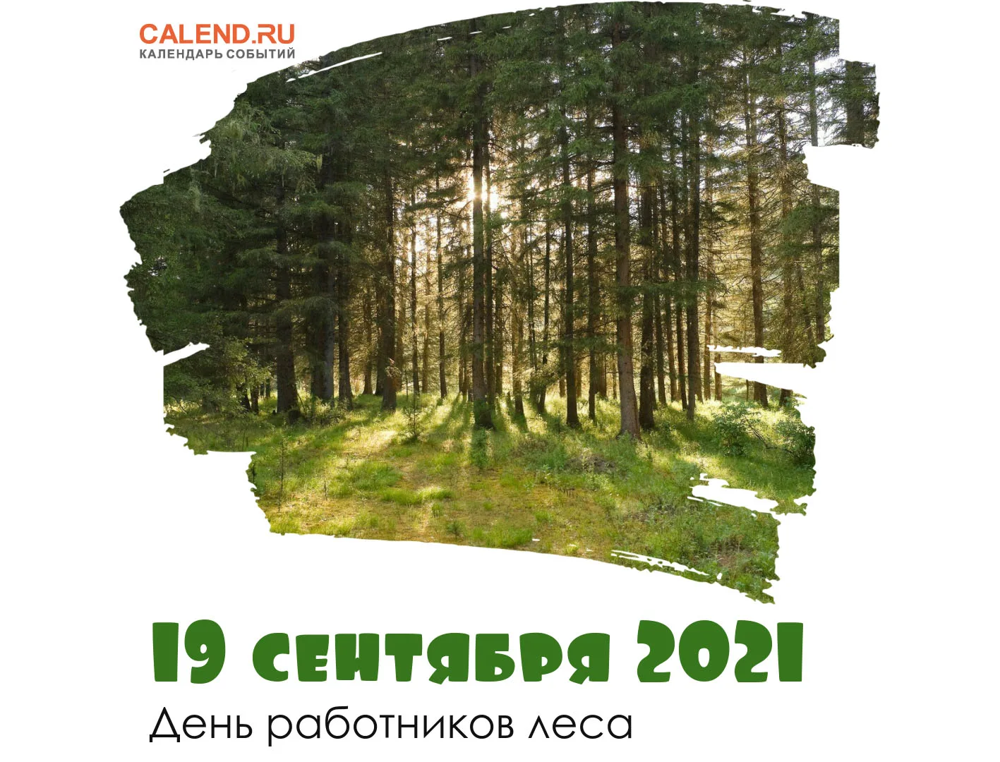 Фото Международный день леса 2025 #48