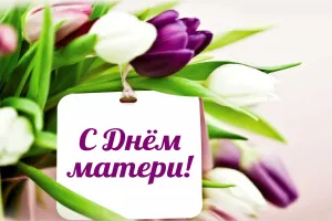 Скачивание изображения #336157