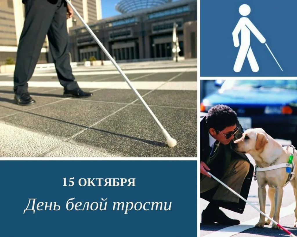 Фото Международный день слепых 2024 #22