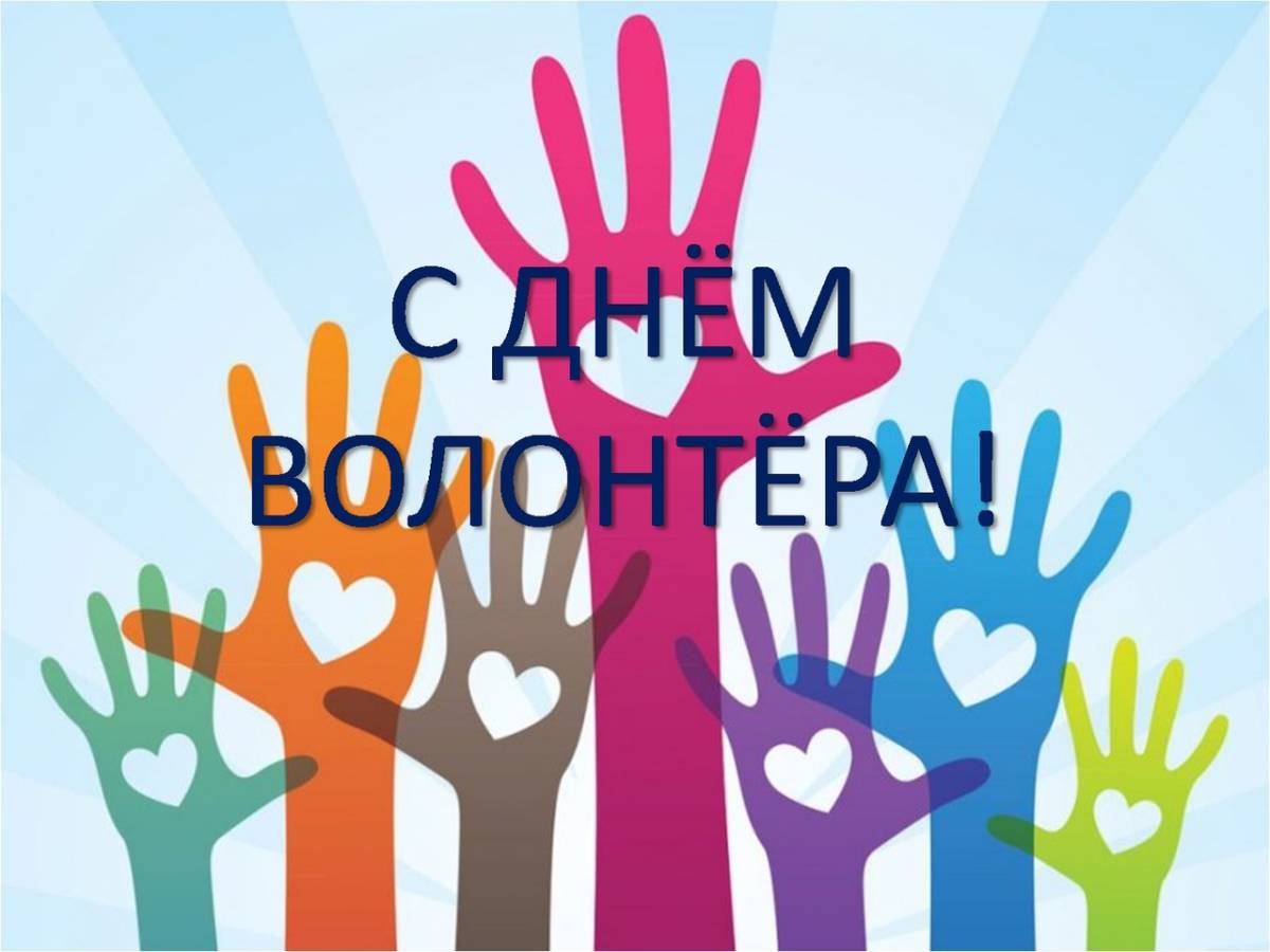 добровольцы 2024