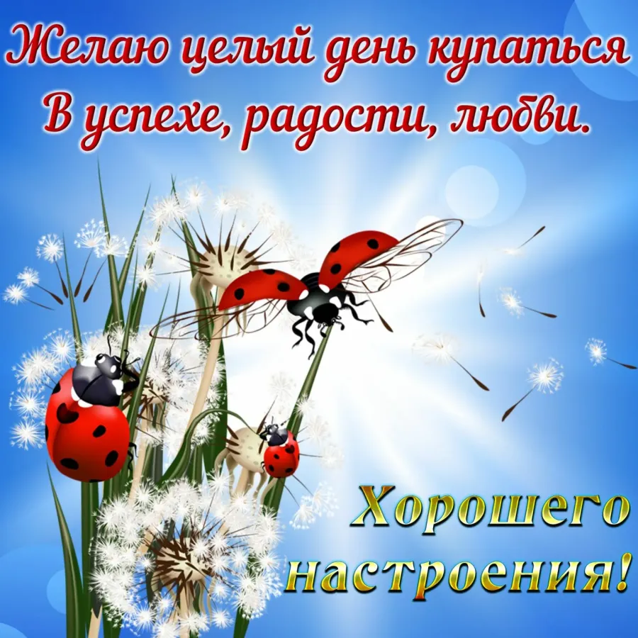 Картинки с пожеланием хорошего настроения