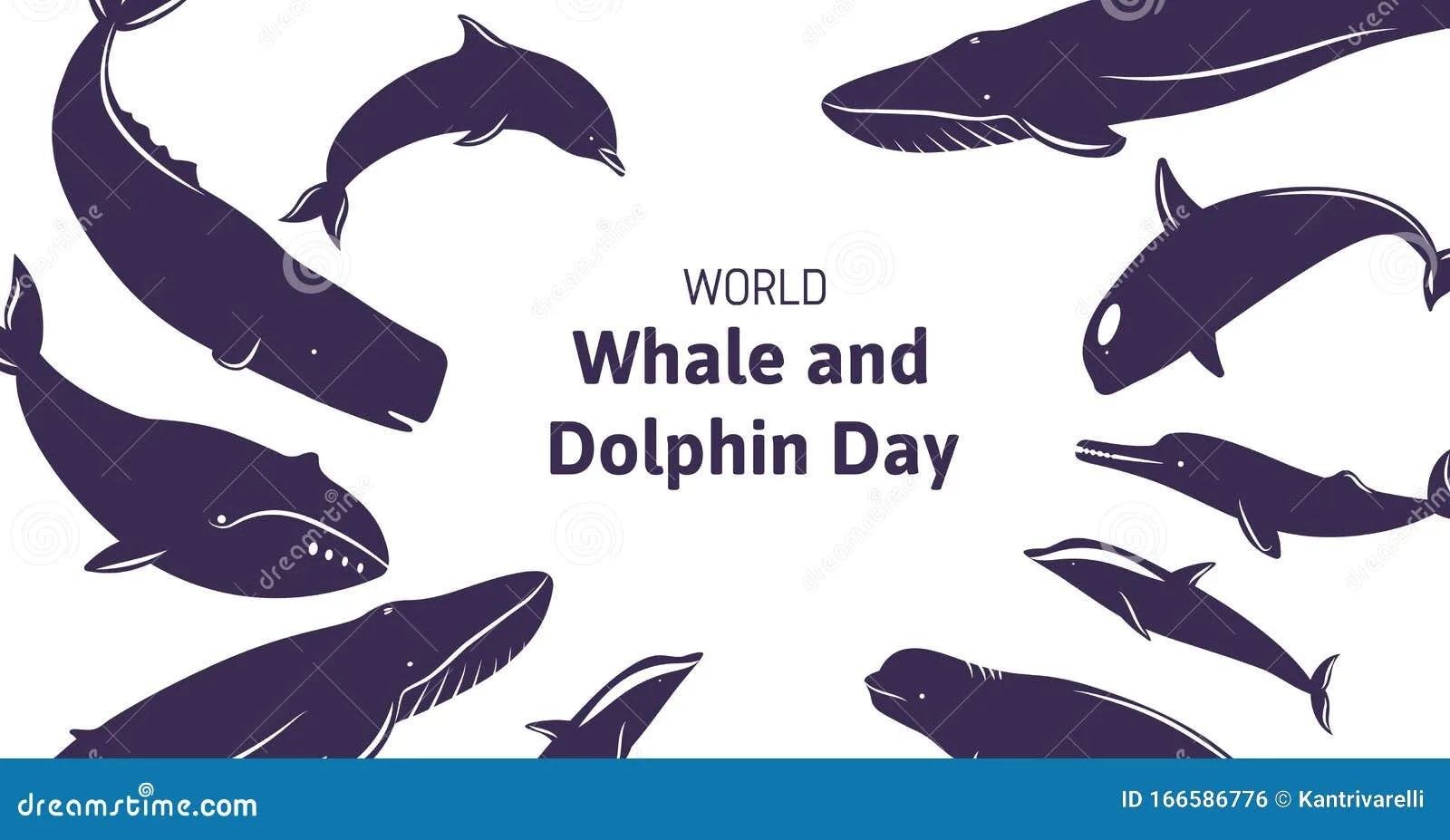 Фото Всемирный день китов и дельфинов 2024 #52