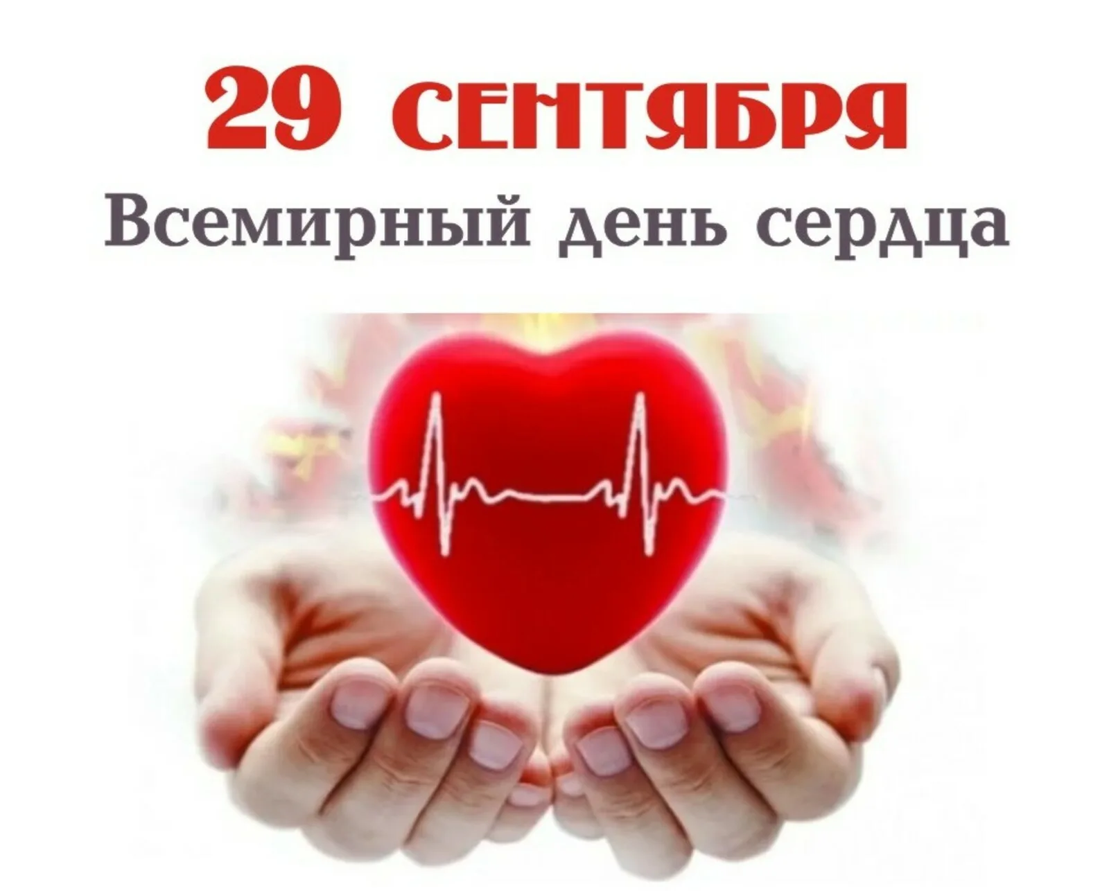 Фото Всемирный день сердца 2024 #5