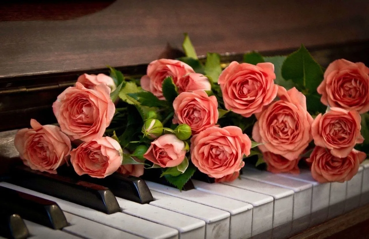 Поздравление с днем рождения учителя музыки. Музыкальный букет цветов. Цветы на рояле. Цветы на пианино. Рояль с цветами.