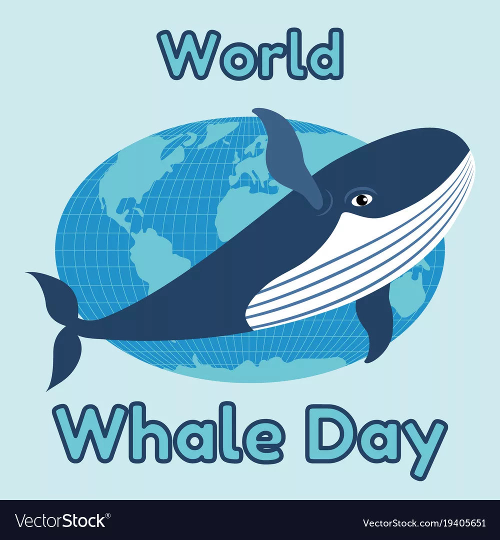 Фото Всемирный день китов и дельфинов 2024 #64