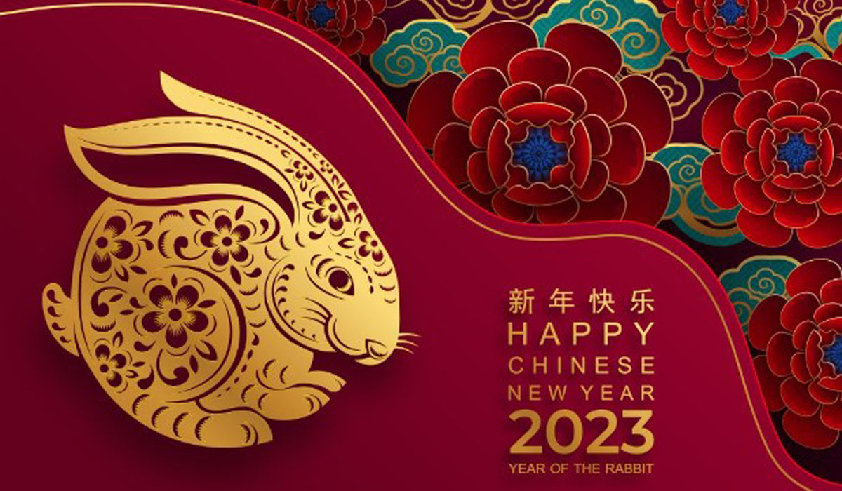 Фото Китайский Новый год 2025 #32