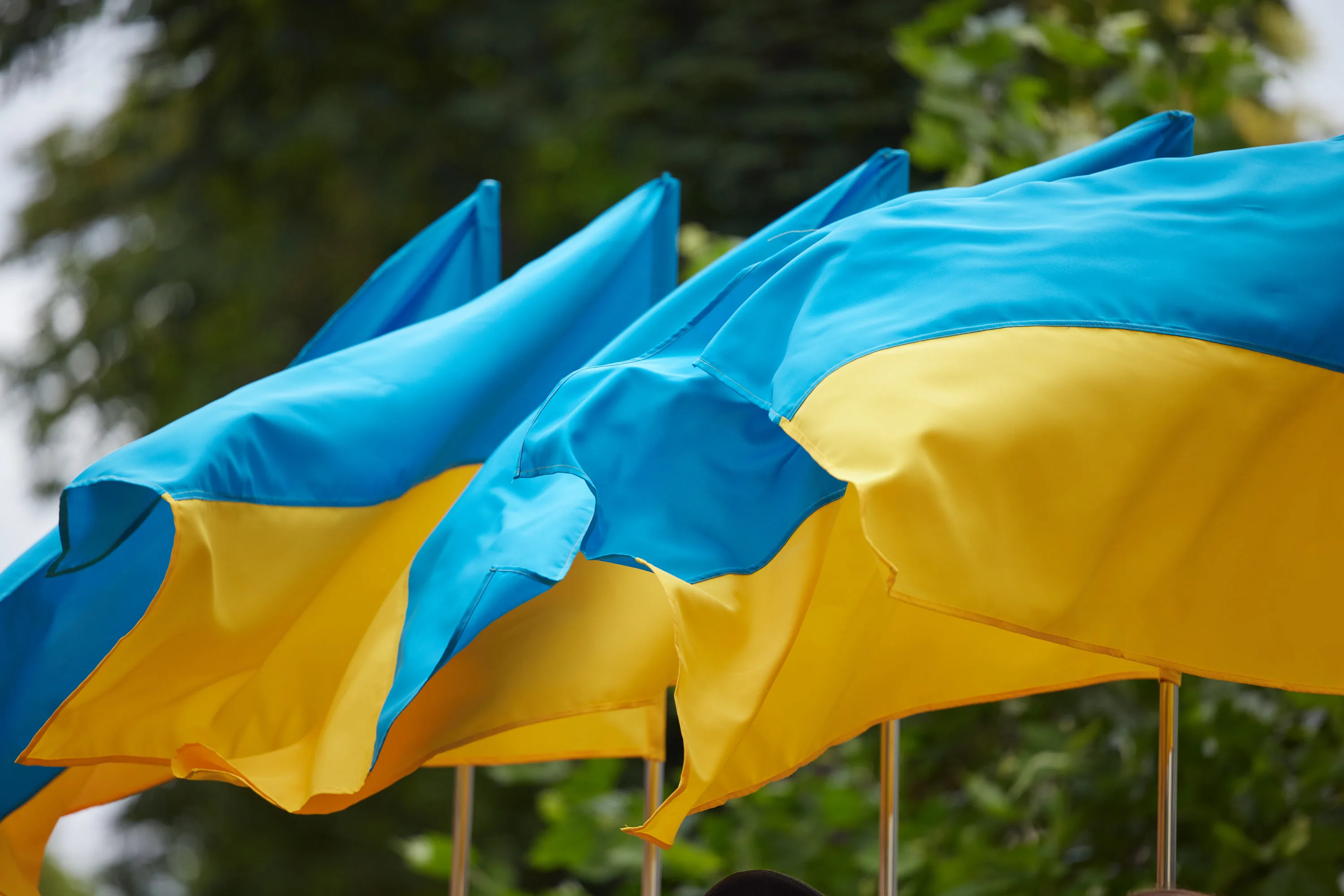Фото День флага Украины #81