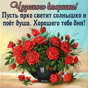 Доброе утро вторника картинки прикольные гифки