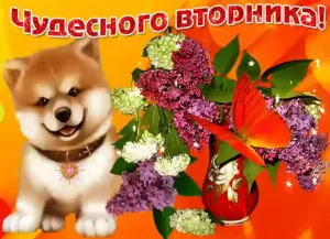 Скачивание изображения #231137