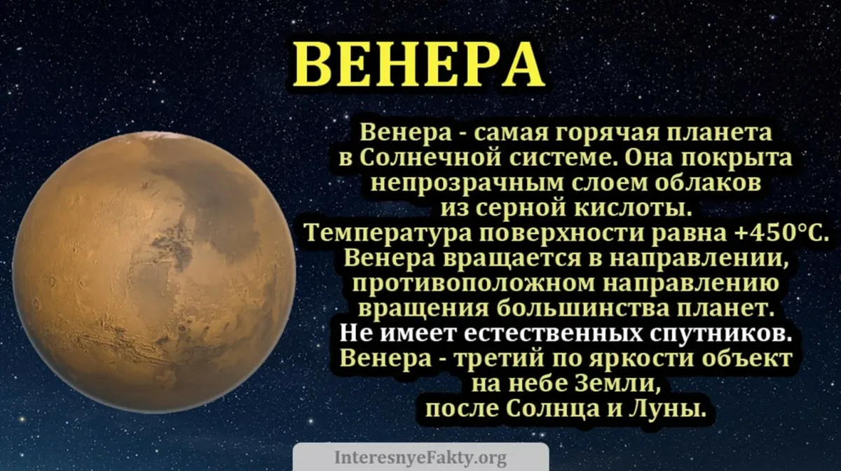 Самые верные венеры